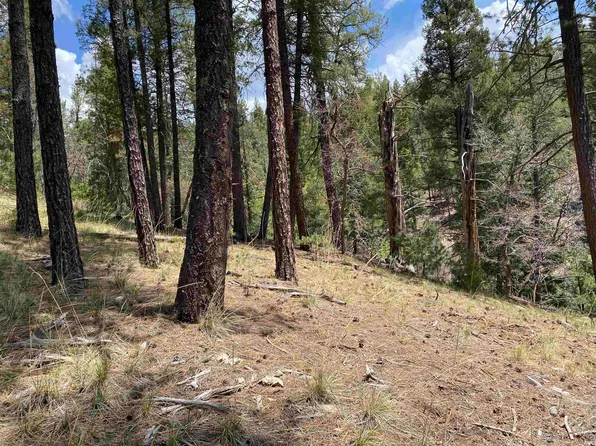 Bushwackers Gulley #3, Cloudcroft, NM 88317