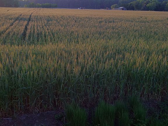 Home for Sale in Virginia Beach, Virginia $550,000