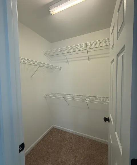 116 Goldfinch Ave — Photo 10