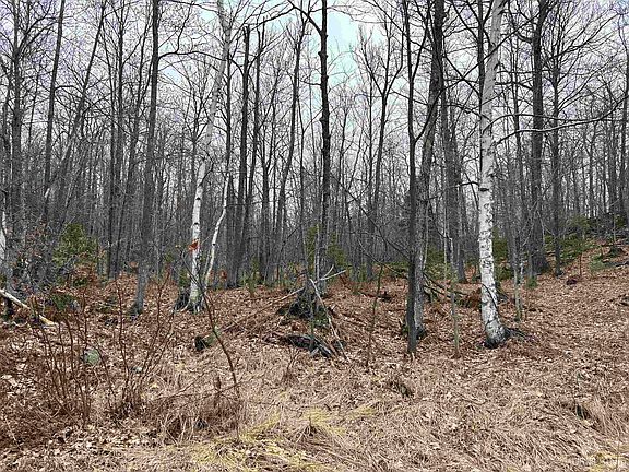 4th image of Near Krooks Dr
