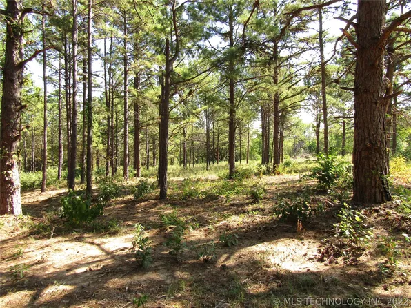 0000 N Cloverleaf Rd, Antlers, OK 74523