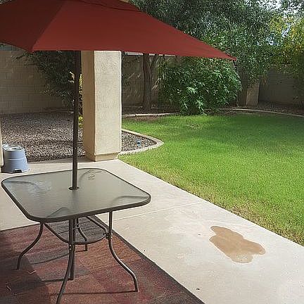 4th image of 1297 S Ponderosa Dr