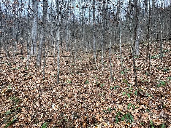 5th image of 805 Sparkling Falls Rd