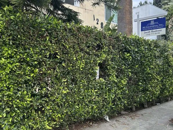 1128 S Oakhurst Dr #1, Los Angeles, CA 90035