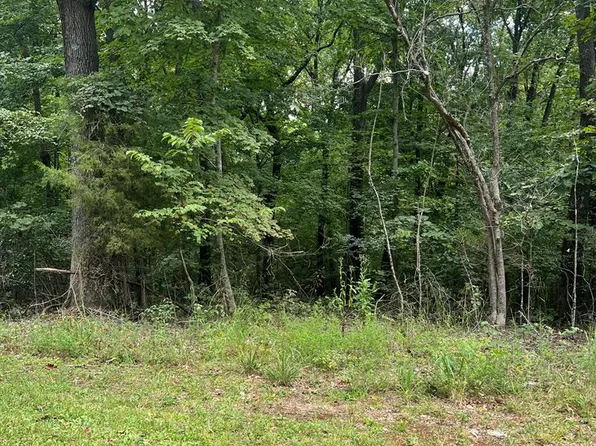 LOT 2 Martinsville Trl, Bowling Green, KY 42104
