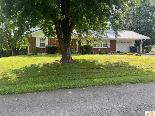 208 Patterson St, Gamaliel, KY 42140