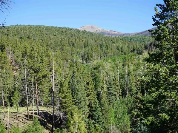 2651 Willow Park Dr., South Fork, CO 81154