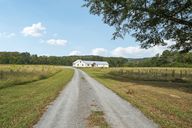 Kudzu Rd-S2409-001.jpg