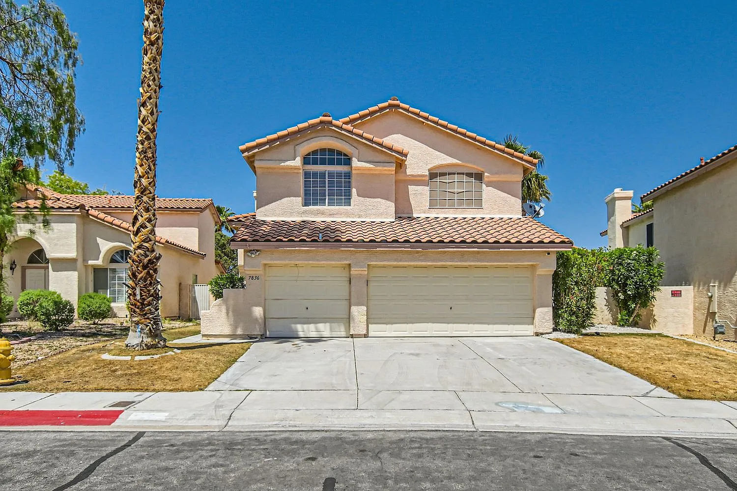 7836 Calico Flower Avenue - 1 — Photo 1