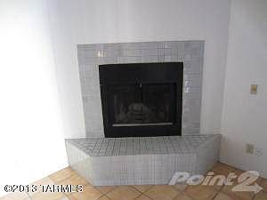 Fireplace in Living Room