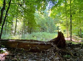 Wright Way Dr, Johannesburg, MI 49751