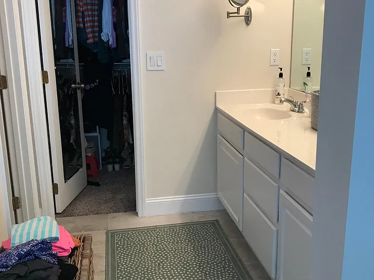 Master Bath (sink / closet)