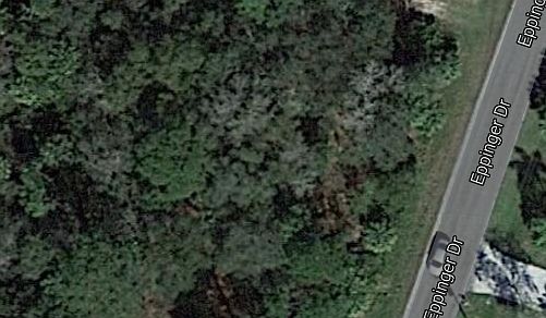 5th image of 1391 Eppinger Dr