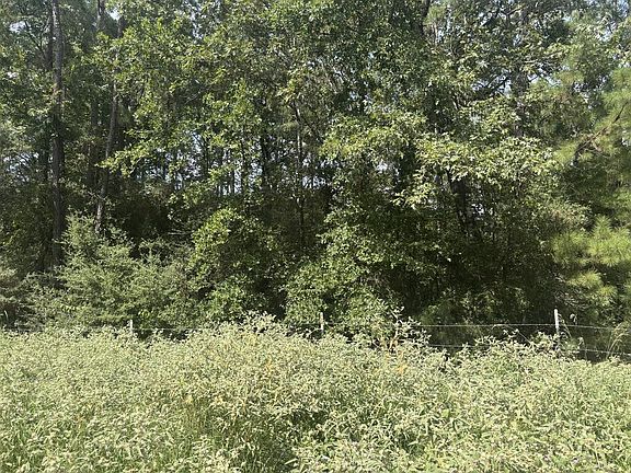 4th image of Pid 57087 Timber Ranch Rd