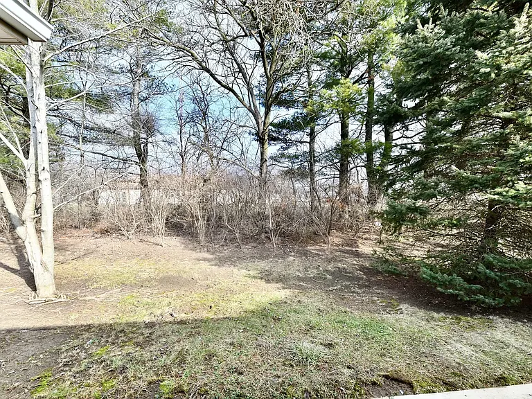 10454 Platinum Dr — Photo 32
