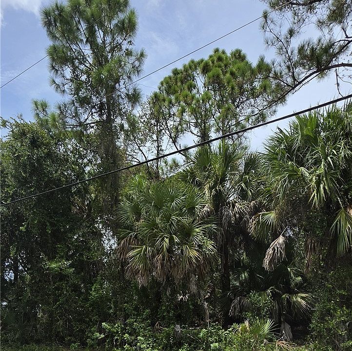 2nd image of LOT 23 Twinbush Ter