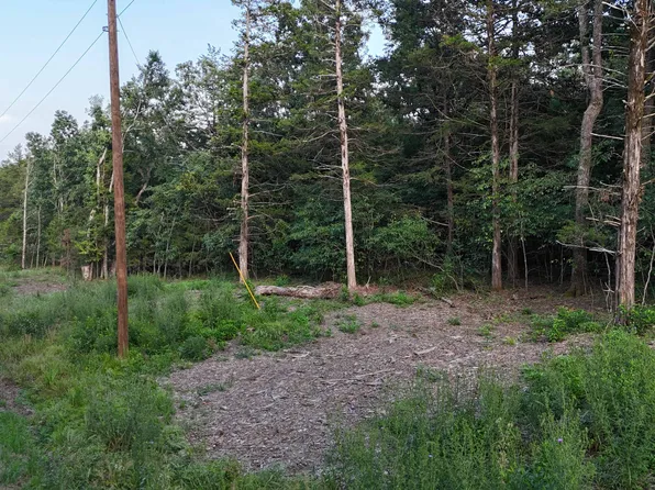 217&218 A Drive Lots, Golden, MO 65658