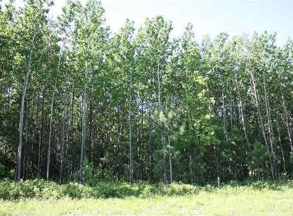 3rd image of Lot 4 Blk 3 Norway Spruce Drive