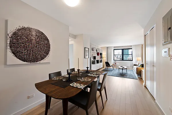 Rented by Douglas Elliman Development Marketing | media 28