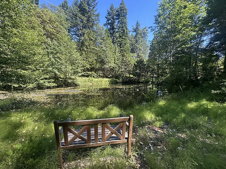 Bench overlooking pond