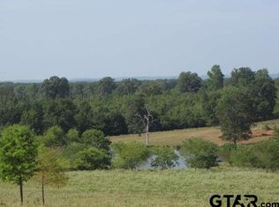 22454 Mixon Rd #2177, Troup, TX 75789