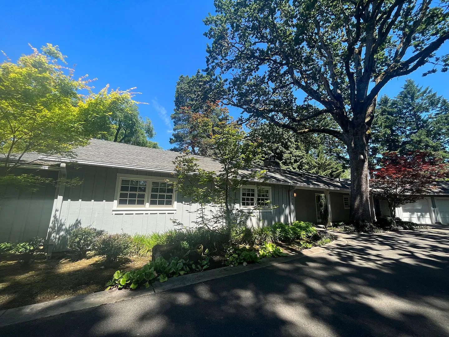 South Cliff 5 bd 4.5 ba Beauty - Established Landscape! — Photo 2