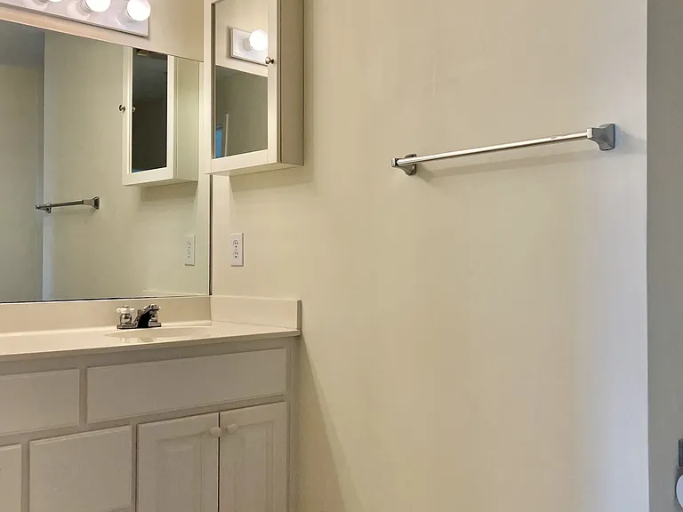 The en-suite bath offers plenty of storage and counter space