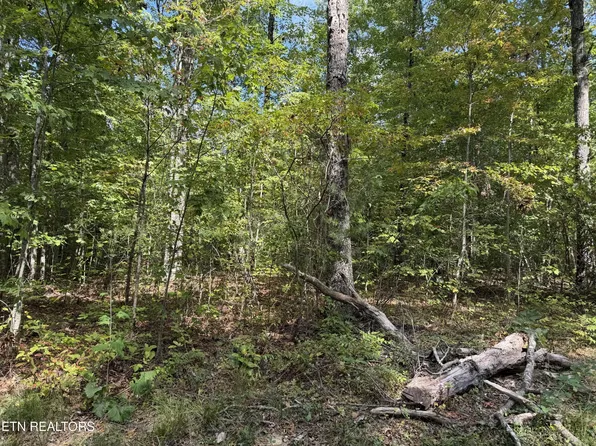 806 Horse Creek Rd, Jamestown, TN 38556