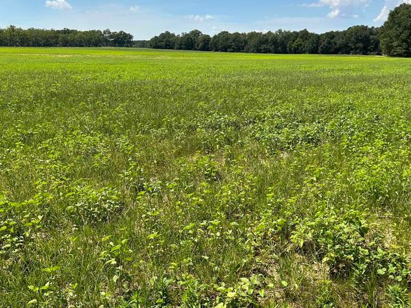 2095 Long Rd, Vienna, GA 31092