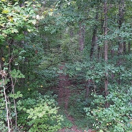 3rd image of LOT 26 Bay Dr