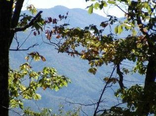 20 Coopers Creek Rd, Bryson City, NC 28713