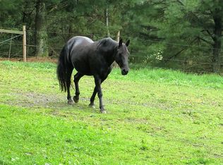 750 Hatten Rd, Luthersburg, PA 15848