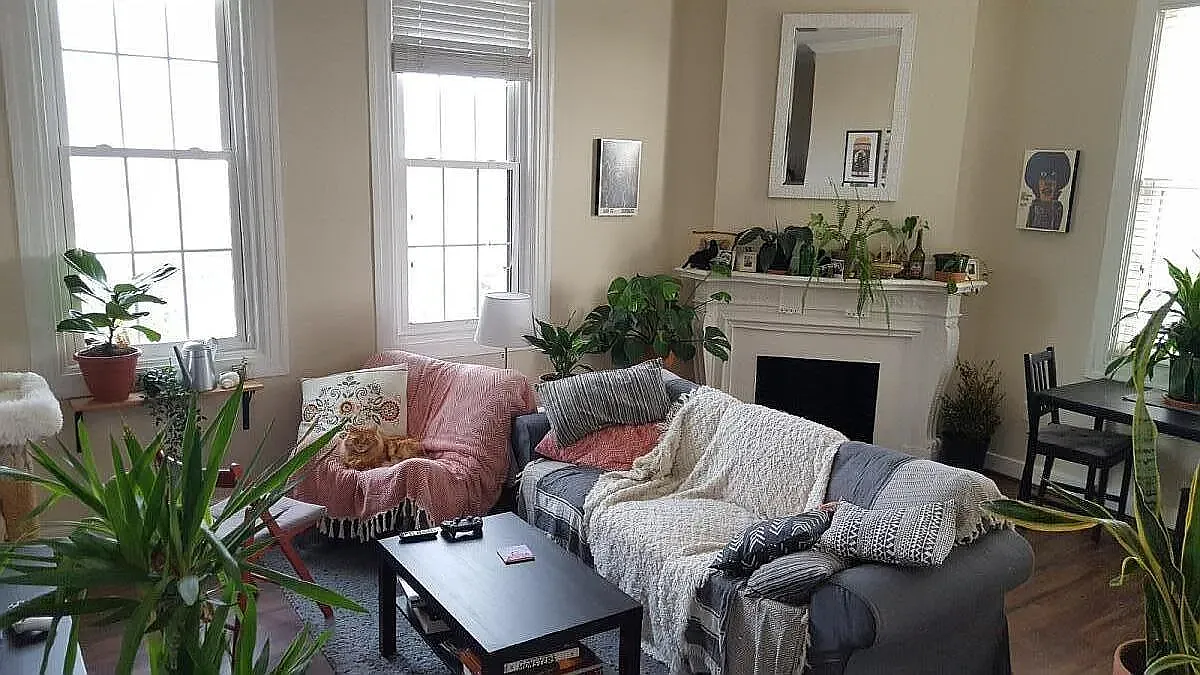 2 bed, 904 sqft, $1,900 — Photo 1