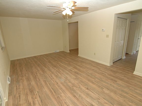 Large LR with Ceiling Fan