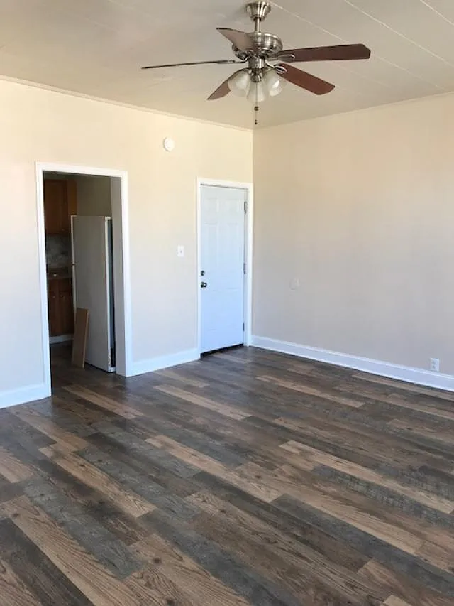 Studio, $750 — Photo 2