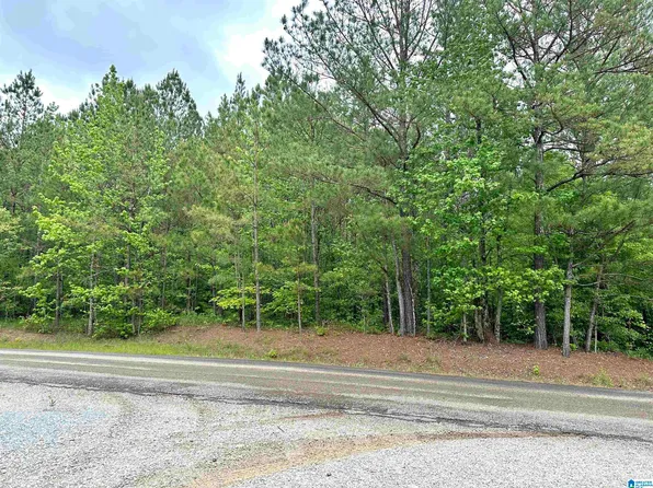 0 Jackson Trace Rd, Ohatchee, AL 36271