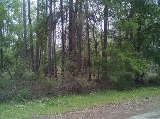 8335 Softstone Dr, Ridge Manor, FL 33597