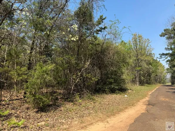 County Road 4450, Bivins, TX 75555