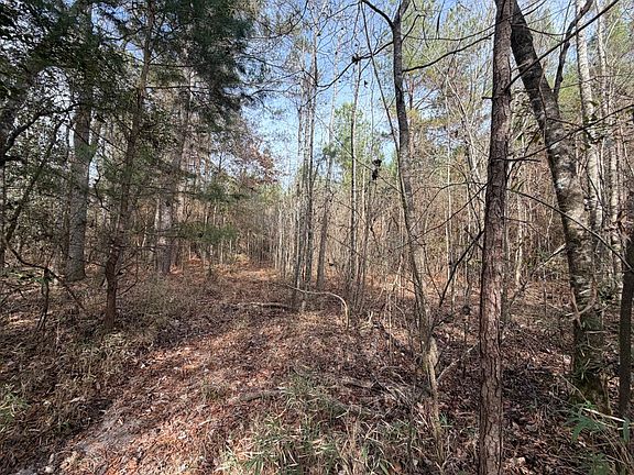3rd image of 5 County Road 239