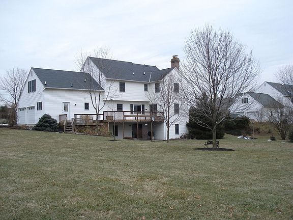 Rear view