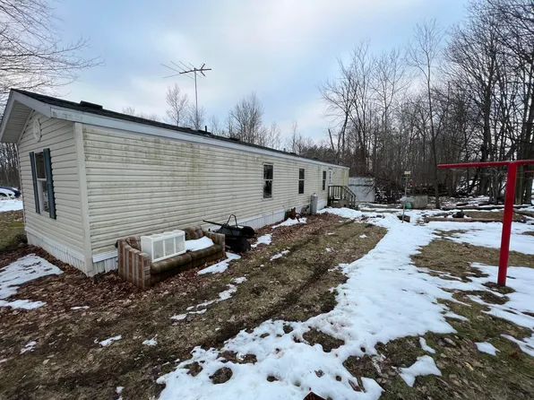 155 E Cannonsville Rd, Stanton, MI 48888