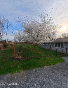 1052 Sunset Cir, Newport, TN, 37821