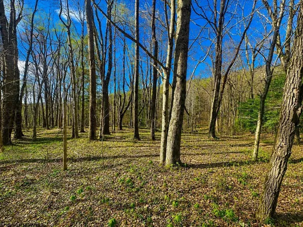 Bobolink Dr, Terra Alta, WV 26764
