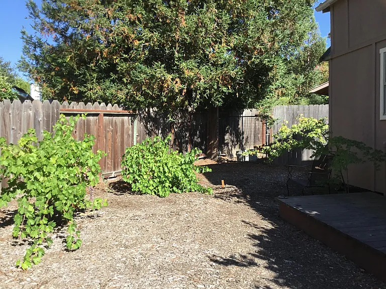 Lockwood Dr — Photo 10