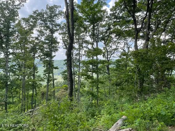 Buffalo Road Stanley Crk, Huntsville, TN 37756