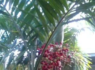 204 NE 16th Ct #2, Fort Lauderdale, FL 33305