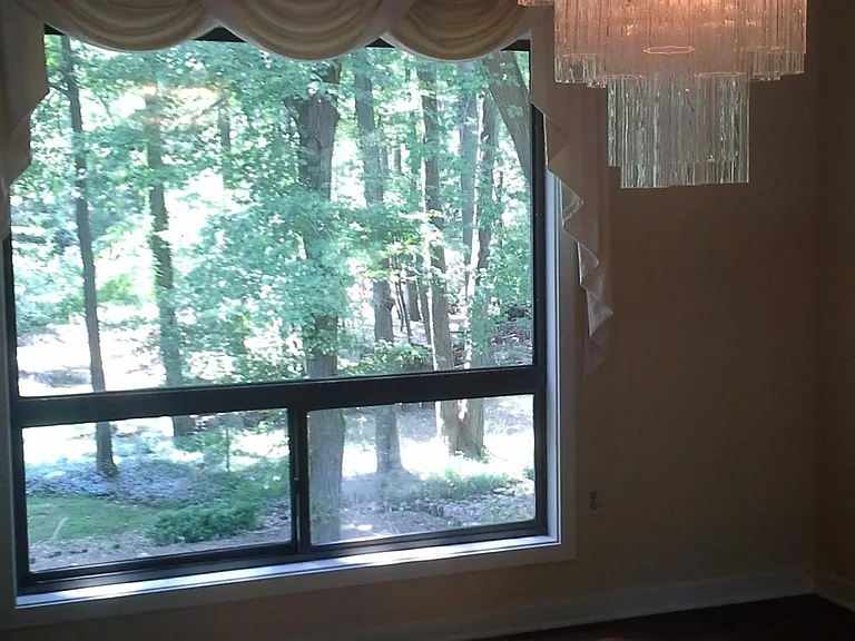 VIEW FROM EAT IN DINING ROOM