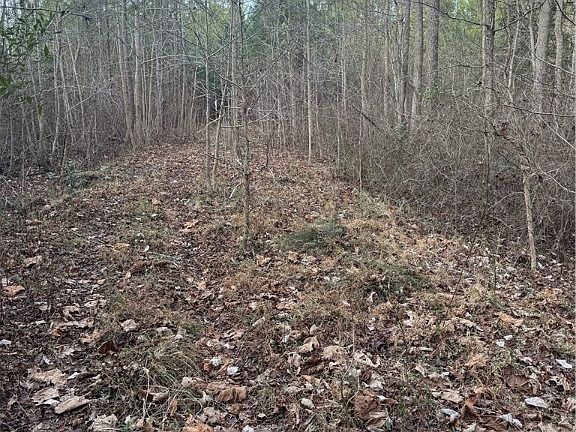 3rd image of 0 N Courthouse Rd