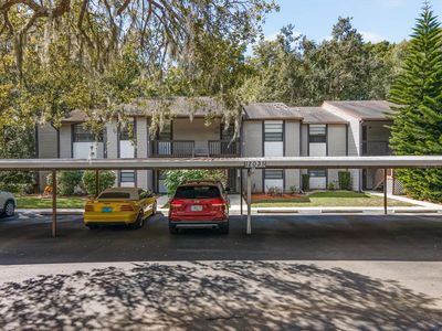 12035 Proctor Loop APT 5, New Port Richey, FL, 34654