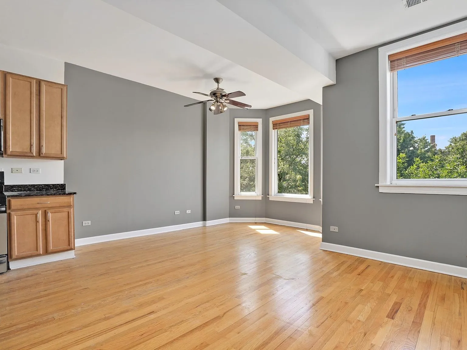 2252 W. Adams — Photo 3